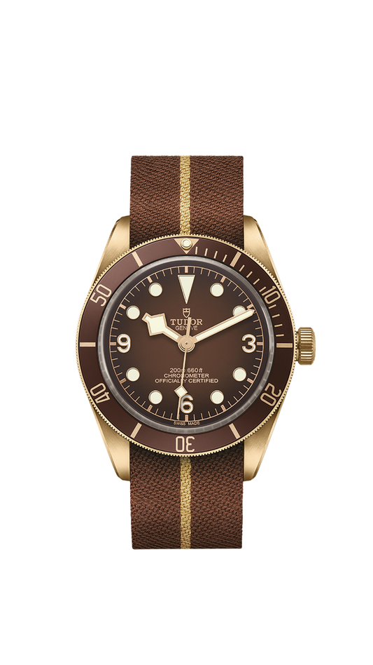Tudor Black Bay 58 Bronze