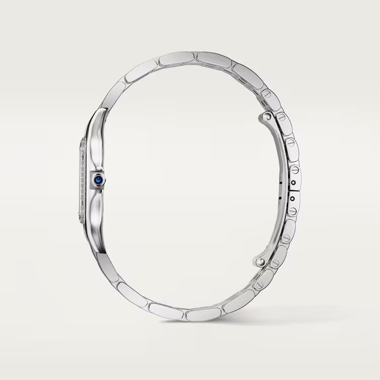 Panthère de Cartier Medium Model