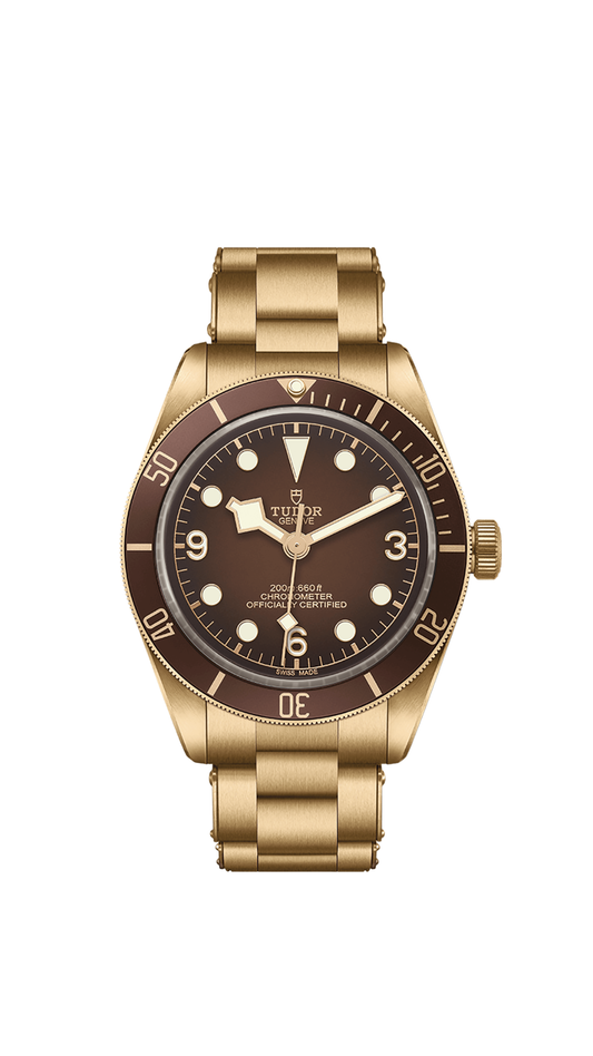 Tudor Black Bay 58 Bronze