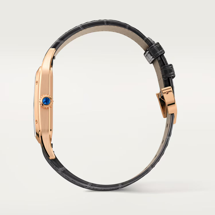 Cartier SANTOS-DUMONT L Model