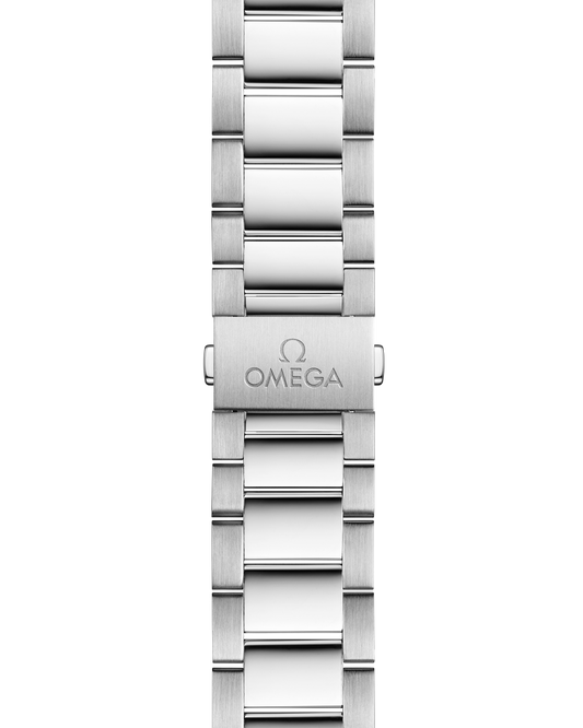 Omega Seamaster Aqua Terra 150M 41mm