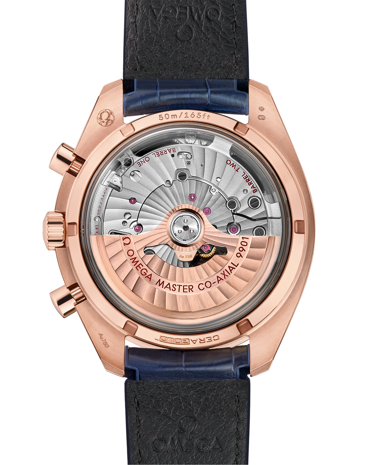 Sedna™ gold / לוח כחול